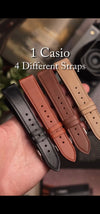One Casio, 4 different straps.